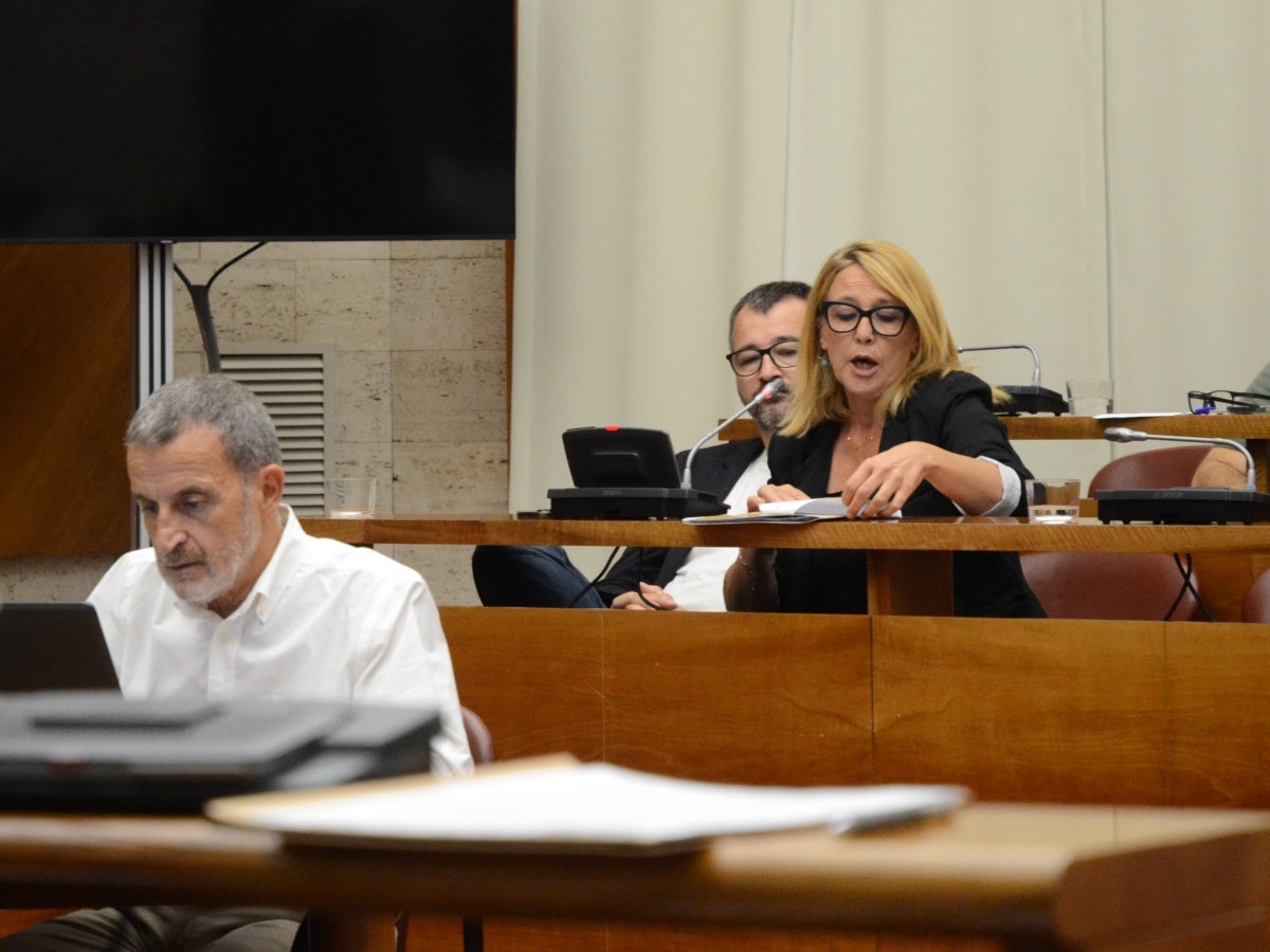 La portaveu d'ERC, Sílvia Renom, al ple. Autor: J.d.A.