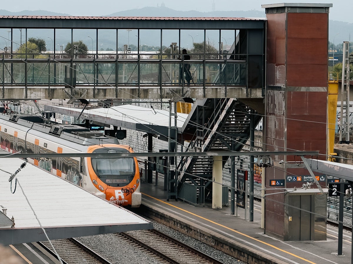 Trens de Rodalies, fa uns dies a l'estació Sabadell Sud. Autora: Dihor. 