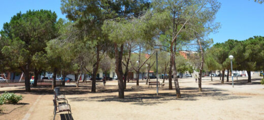 Arbres Plaça Treball