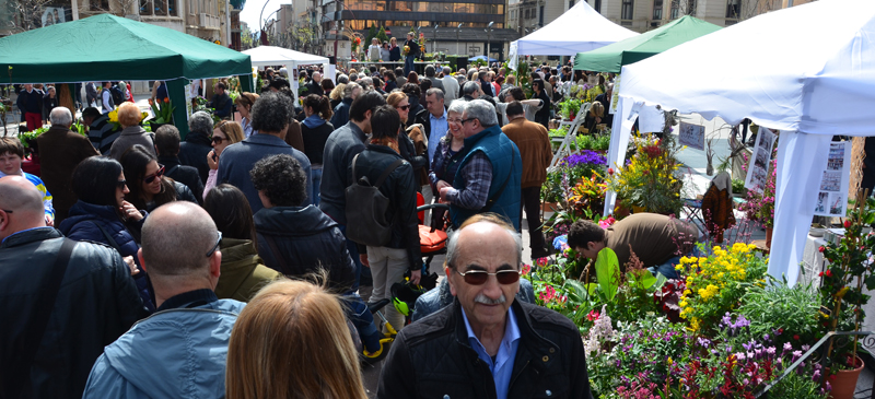 Festa de les flors