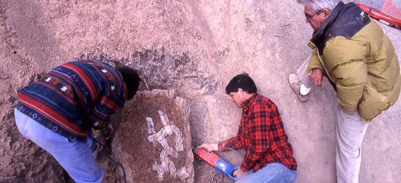 Foto portada: Santafé, a la dreta, en una excavació. Autor: cedida.