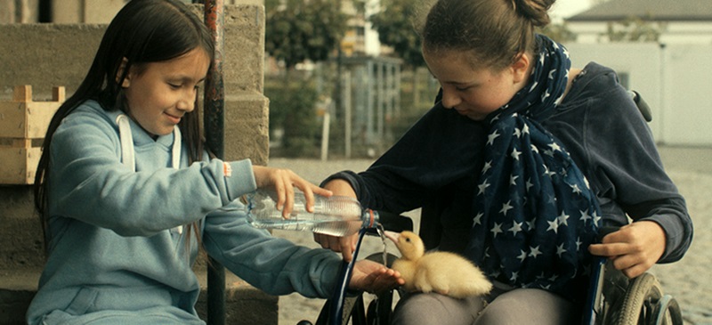 Foto portada: fotograma de la pel·lícula 'Ocells de pas', projectada per escolars.