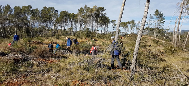 Foto portada: jornada d'actuació al bosc, fa uns mesos. Autor: cedida.