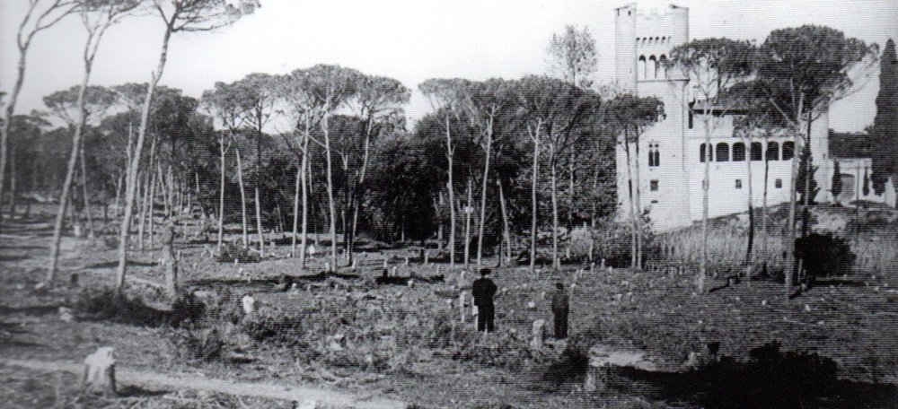 Foto portada: tales d'arbres al 1937. Autor: F. Casañas/AFUES