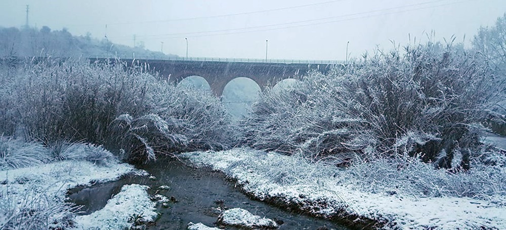 Foto portada: el pont de la Salut, des del Ripoll. Autor: Sergio Rodriguez