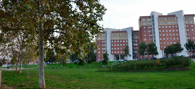 Foto portada: el parc del Nord, aquest divendres. Autor: David B.
