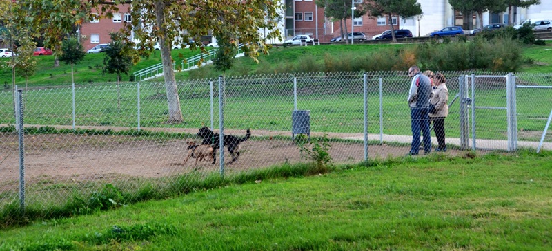 Zona de gossos al Parc del Nord. Autor: David B.