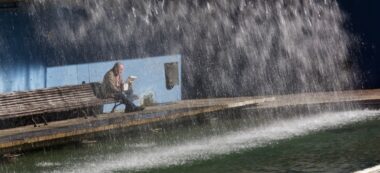 Foto portada: la cascada del llac del parc de Catalunya en una imatge d'arxiu. Autor: David B.