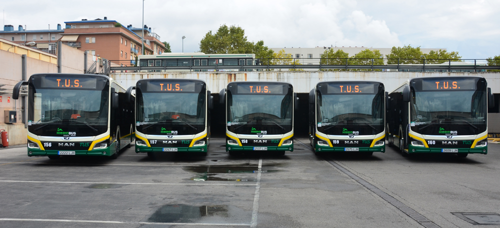 Foto portada: cinc busos híbrids comprats per l’Ajuntament, al setembre de 2020. Autor: David B.