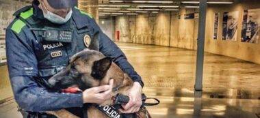 Foto portada: membres de la unitat canina amb un dels gossos. Autor: @policiasabadell via Twitter.