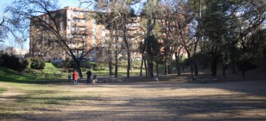 Foto portada: el bosc de la Concòrdia, fa unes setmanes. Autora: Alba Garcia.