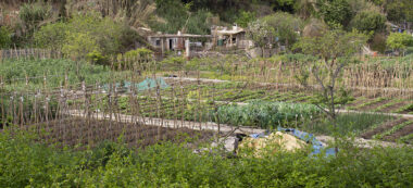 Foto portada: el riu Ripoll, al Rodal, el 15 d'abril de 2021. Autor: M.Centella.