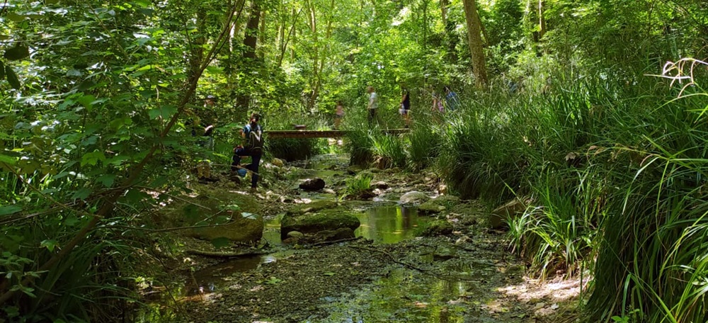 Foto portada: el Torrent de Colobrers, el 30 de maig de 2021. Autor: J.d.A.