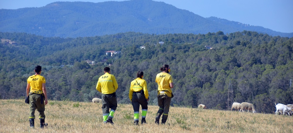 Voluntaris de l'ADF Sabadell, el passat divendres. Autor: David B.