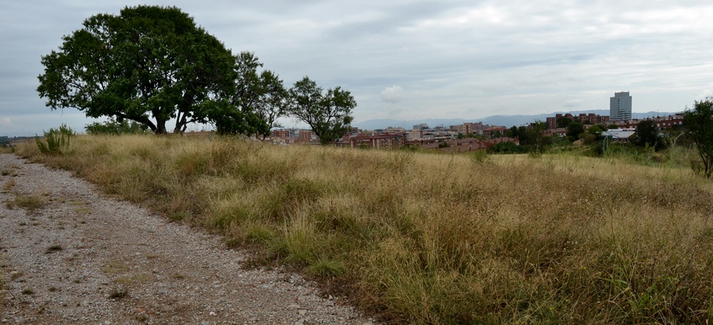 Foto portada: el futur Parc de les Aigües, a Can Llong. Autor: J.d.A.