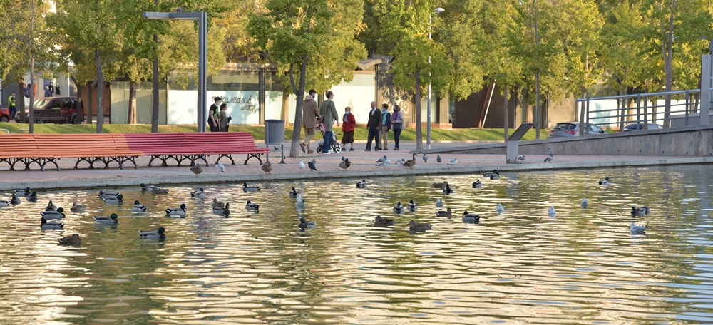 El Parc Catalunya, aquest dimarts. Autor: David Chao.