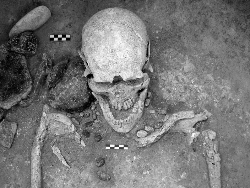Detalle de la mitad superior del individuo del sepulcro E668 de Can Gambús-1 (Sabadell, Barcelona) con parte de su ajuar funerario. Se observa el collar de variscita en disposición original alrededor del cuello. (J. Roig y J.M. Coll).