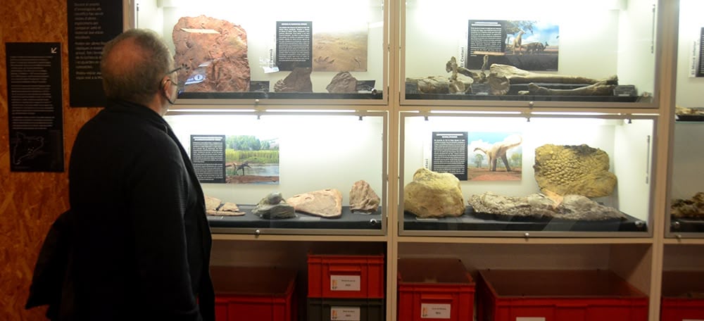 Sala d'exposició del museu Miquel Crusafont, a Sabadell. Autor: David B.