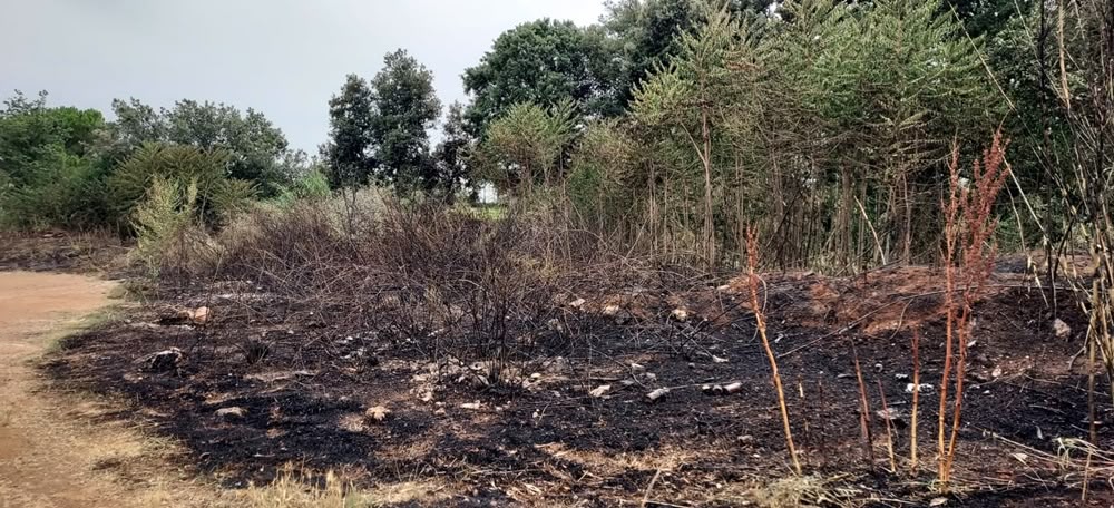 Foto portada: l'incendi a l'exterior del castell de Can Feu. Autor: cedida.