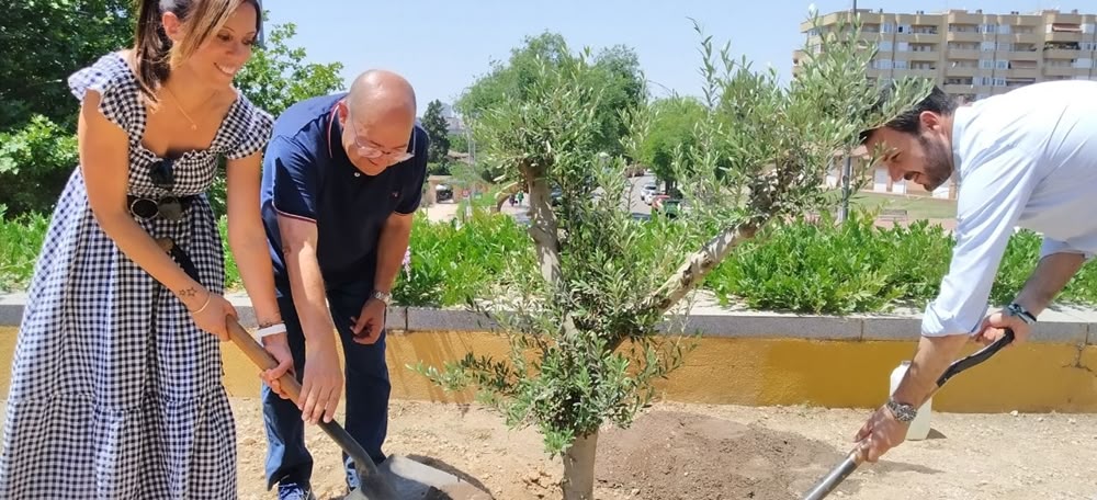 L'alcaldessa Marta Farrés, l'alcalde Francisco Javier Maestre i el president de l'Associació Andalusa San Sebastián de los Ballesteros plantant una olivera per commemorar la germanor dels dos municipis. Autor: cedida