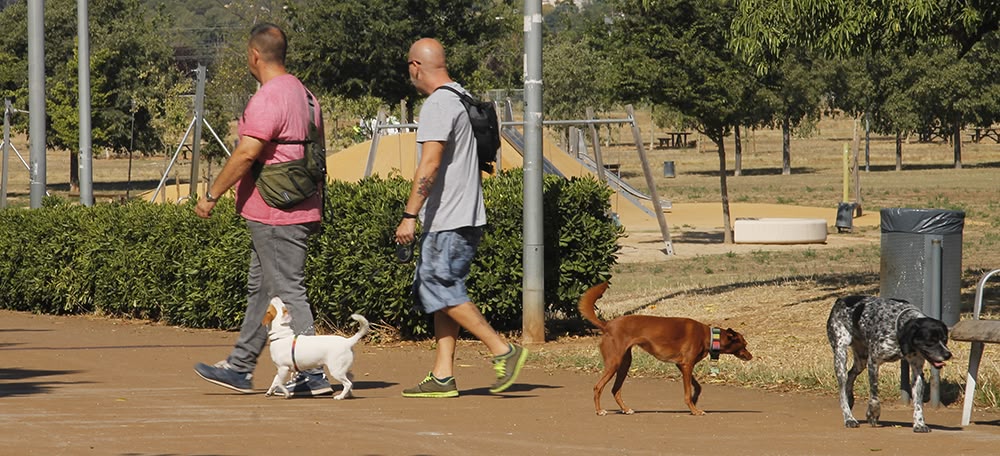 El Parc Central del Vallès, el 7 de juliol. Autor: Lucía Marín