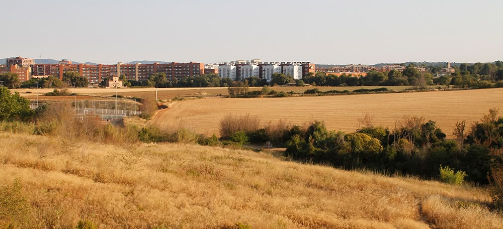 Camps entre Ronda Oest i Terrassa. Autora: Lucía Marín.