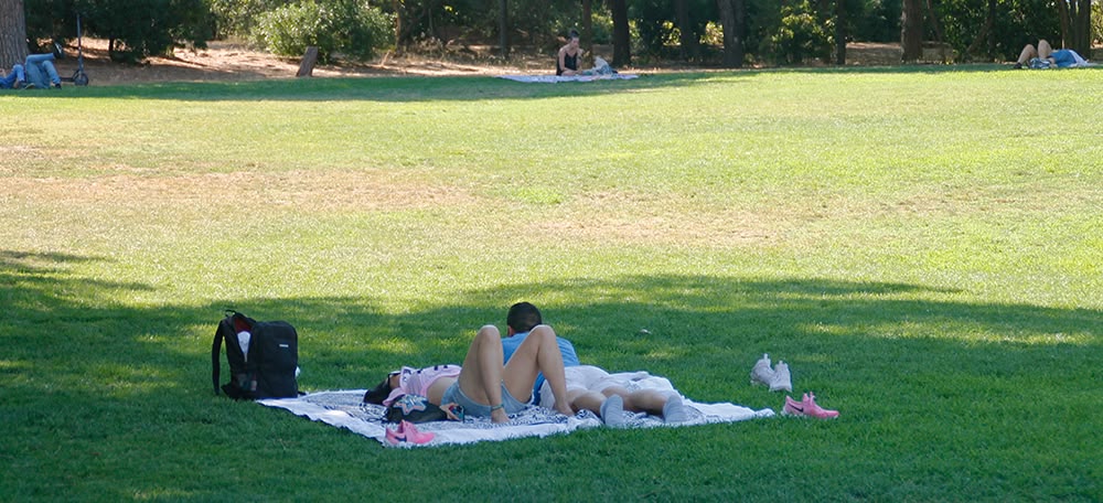 Dos joves, a l'ombra, al parc de Catalunya, el passat dimecres. Autora: Lucía Marín.
