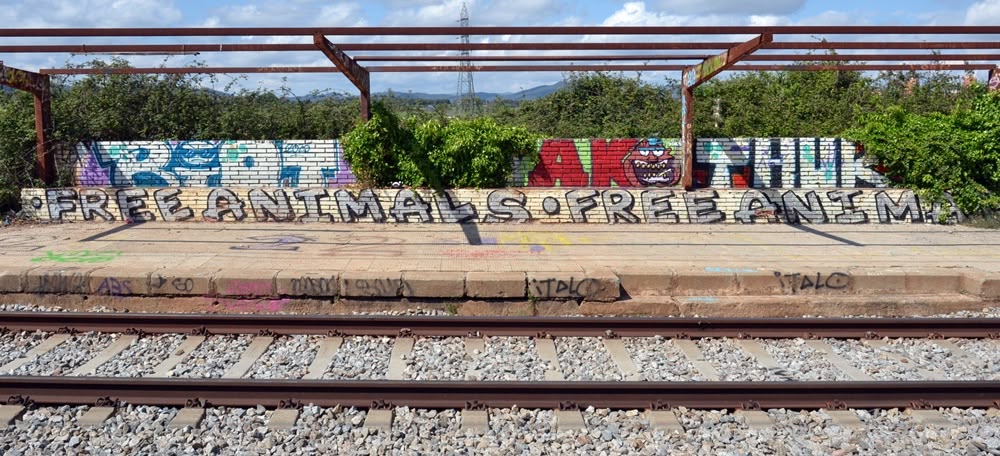 Foto portada: les vies de la Renfe al seu pas per Castellarnau, on hi havia hagut un baixador que està abandonat. Autor: J.d.A.