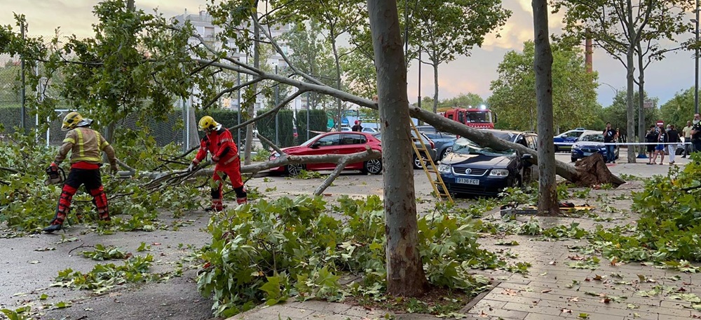 Foto portada: arbres caiguts al sud de Sabadell, el 31 d'agost de 2022. Font: Ajuntament.