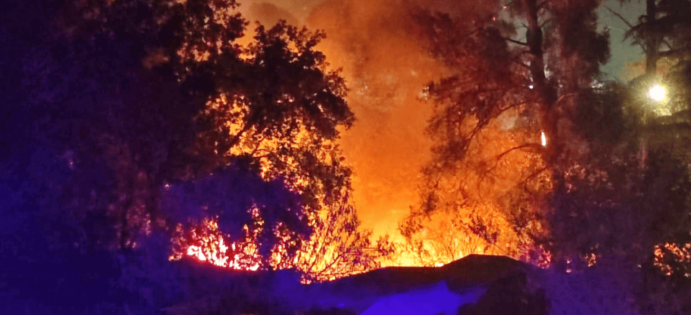 Foto portada. incendi als horts, aquest dimarts. M.G / cedida.