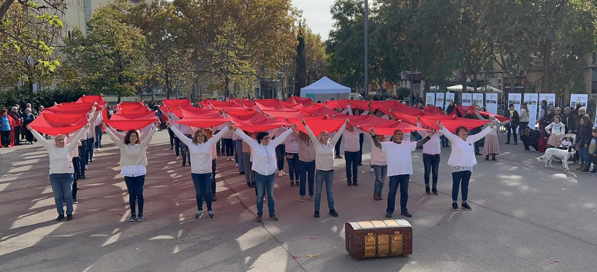 Festa del Voluntariat