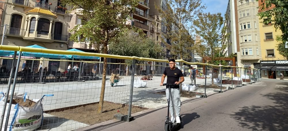 Foto portada: nous arbres al nou Passeig de la plaça Major, el passat mes d'octubre, quan es van plantar. Autora: J.Ramon.