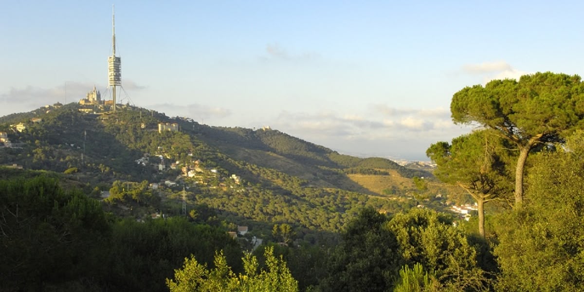 Foto portada: la Torre de Collserola des del parc natural.