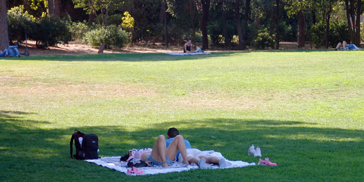 Ciutadans a l'ombra del parc de Catalunya, el juliol de 2022. Autora: Lucía Marín.