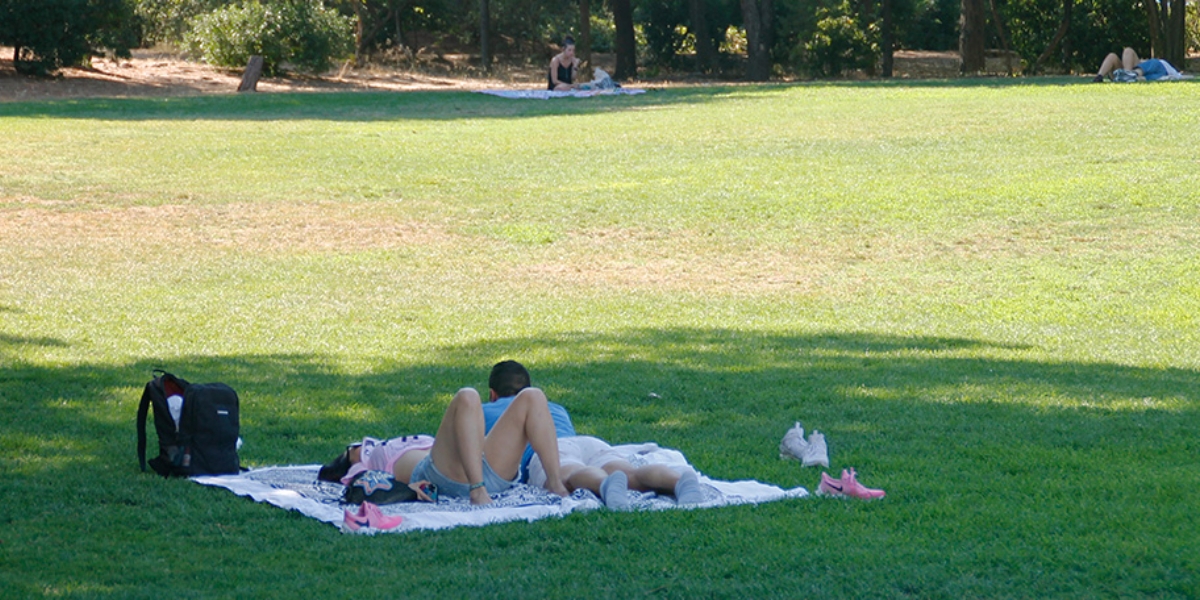 Dos joves, a l'ombra, al parc de Catalunya, el passat dimecres. Autora: Lucía Marín.