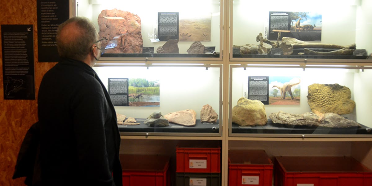 Sala d'exposició del museu Miquel Crusafont, a Sabadell. Autor: David B.