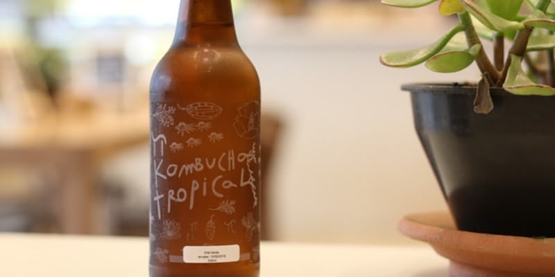 Te kombucha