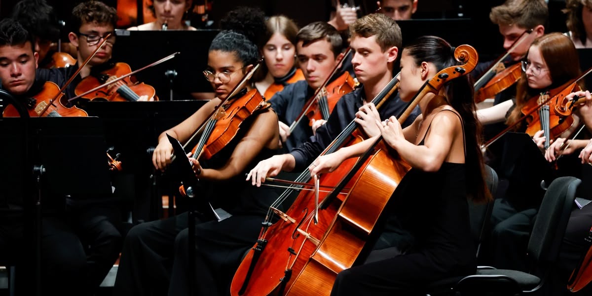 Concert de la Jove Orquestra SImfònica del Vallès. Autor: David Jiménez.