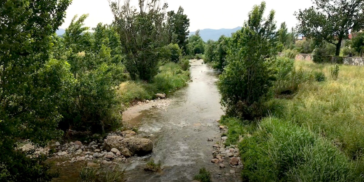 Foto portada: el riu Congost, al seu pas per Palou. Autor: Josep Alavedra.