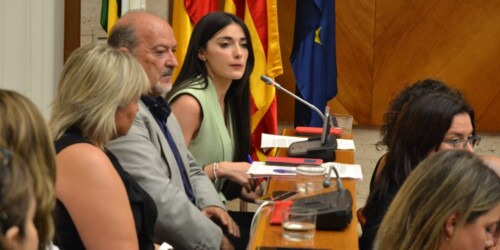 La regidora de Salut i Gestió de Plagues, Sílvia Garcia. Autor: J.d.A