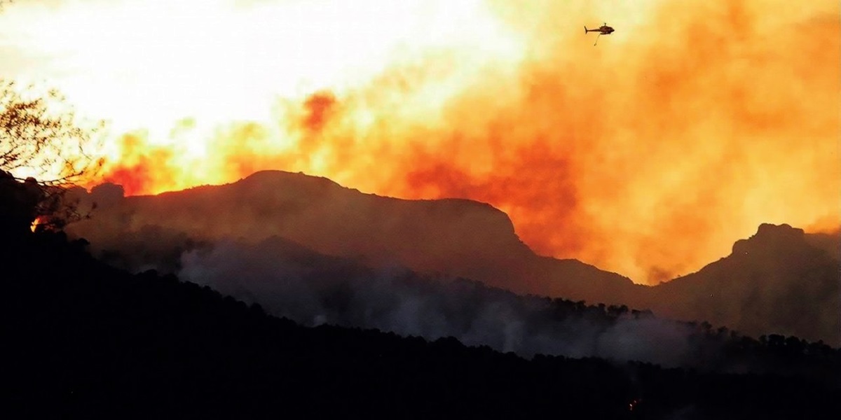 Foto portada: una imatge de l'incendi del 2003. Autor: ADF Serralada via Twitter.