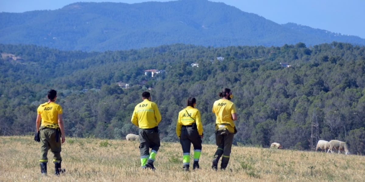 Foto portadsa: voluntaris de l'ADF, fa un temps. Autor: David B.