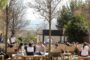 Quins plans d’oci i cultura fer aquest agost a Sabadell?