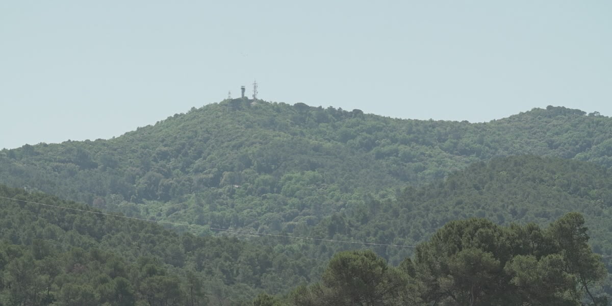 El parc de Collserola, en una imatge d'arxiu. Font: ACN.