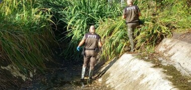 Foto portada: agents forestals, a la bassa. Autor: Agents Rurals via X (abans Twitter)
