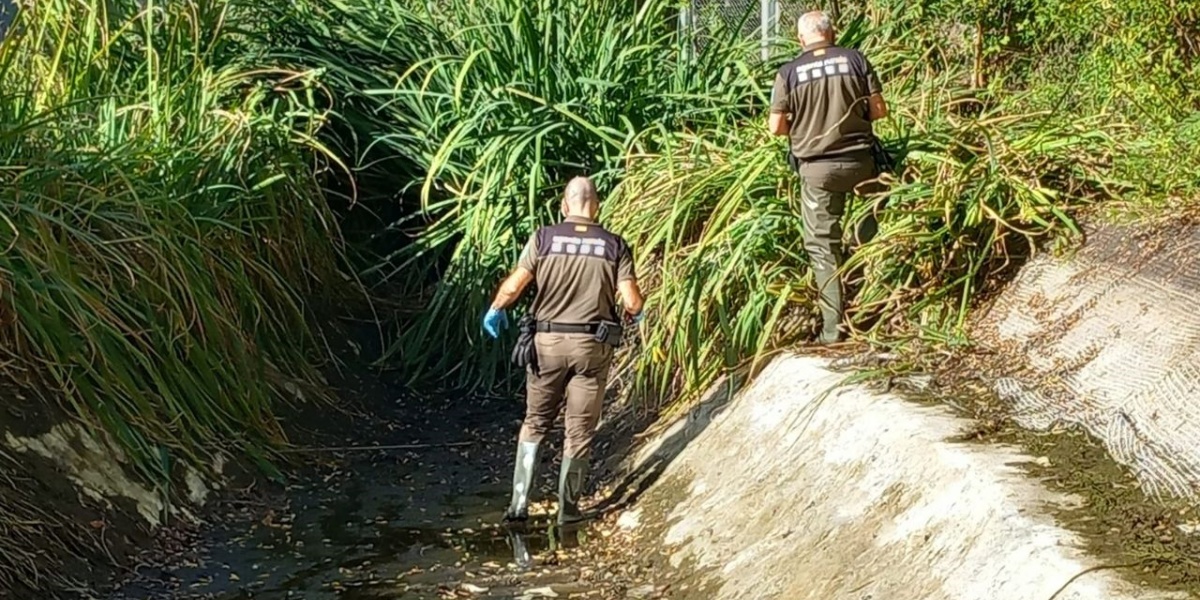 Foto portada: agents forestals, a la bassa. Autor: Agents Rurals via X (abans Twitter)