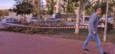 Foto portada: un arbre caigut al Parc d'Odessa, a Can Llong, aquest divendres al matí. Autor: J.d.A.