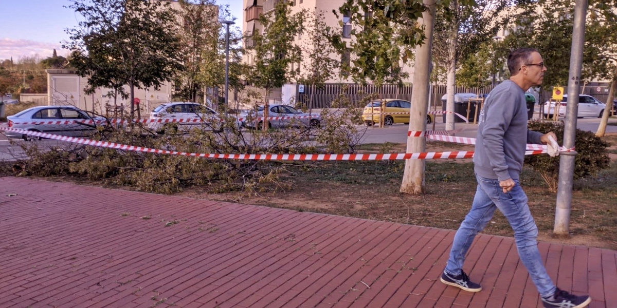 Foto portada: un arbre caigut al Parc d'Odessa, a Can Llong, aquest divendres al matí. Autor: J.d.A.
