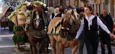 Foto portada: un moment d'una Passada de Sant Antoni, fa uns anys. Autor: David B.