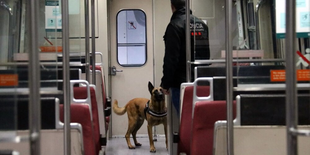 Foto portada: un moment de les pràctiques amb la unitat canina. Autor: ACN.